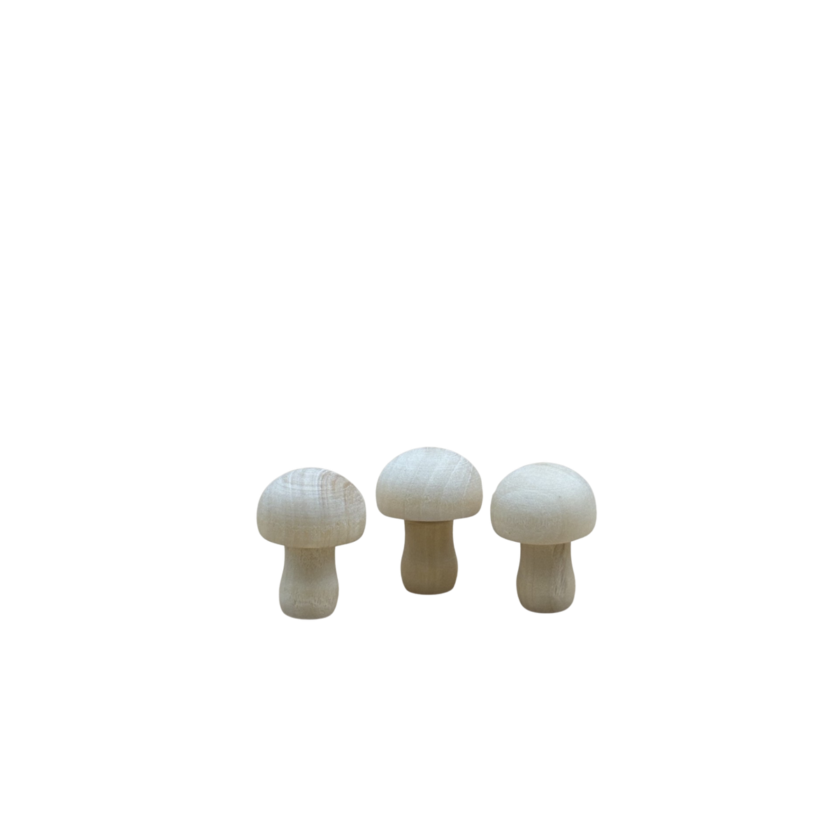 3 ronde houten paddenstoeltjes van circa 3 cm in naturel kleur.