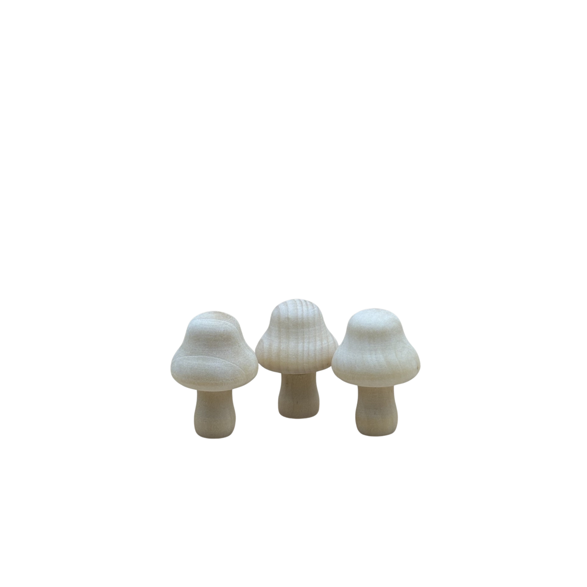 3 brede houten paddenstoeltjes van circa 3 cm in naturel kleur. 