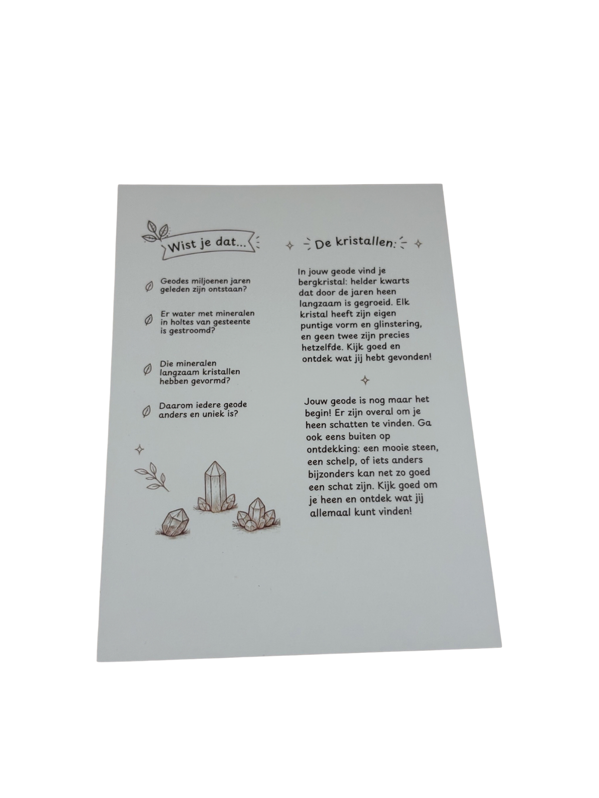 Foto van achterkant instructiekaartje geodeset.