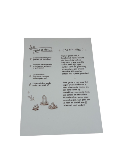 Foto van achterkant instructiekaartje geodeset.