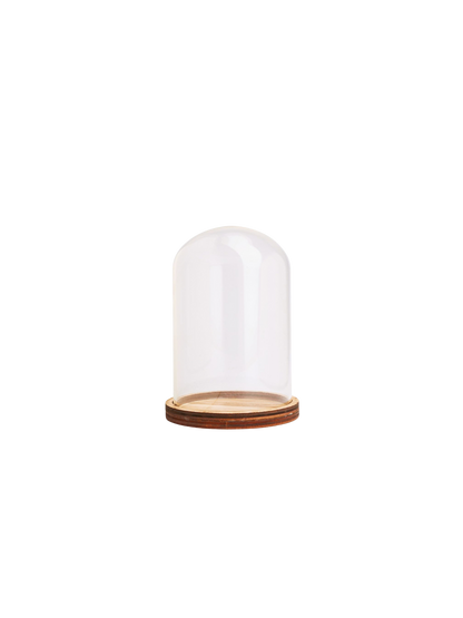 Glazen stolp 12 centimeter