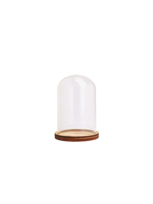 Glazen stolp 12 centimeter